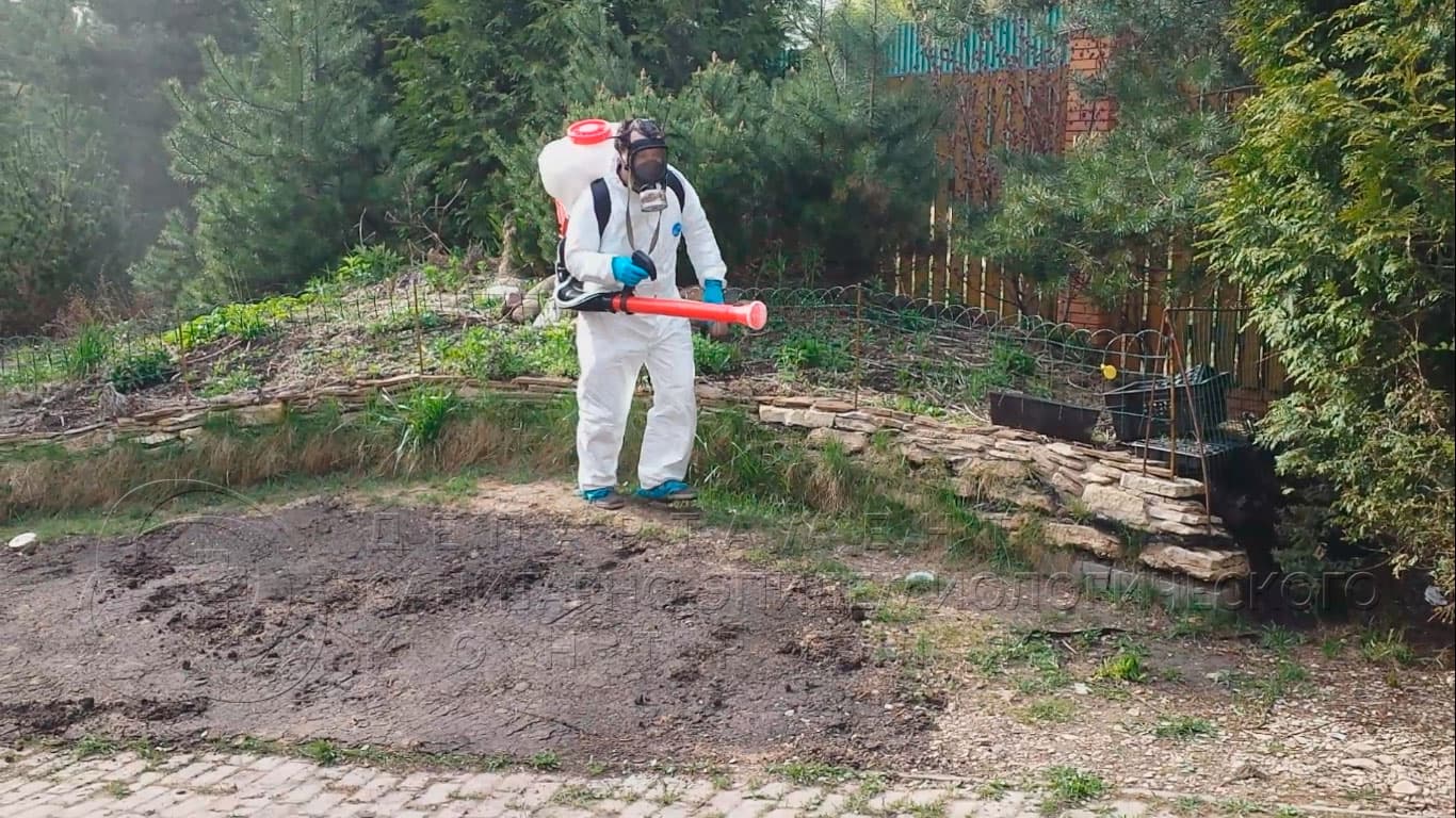 Уничтожение клещей на участке в Красногорске
